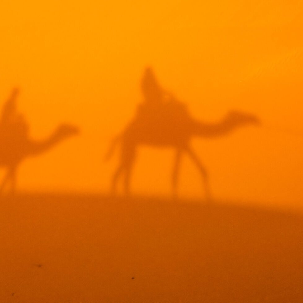 Shadow of a caravan on a stunning sand dunes of Sahara desert in Merzouga, Morocco